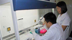 Parlamentssitzung: Gesetzesentwurf zur Justizüberprüfung